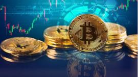 威廉：年底节日多碰上海外疫情复燃，慌么？_MIC:DAILY
