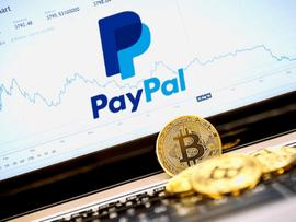 PayPal入场真的如你所想的那样吗？_GVE:lingose币发行价