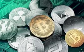 资金向BTC聚集，市场防御性上涨_ARKE:ImpactMarket