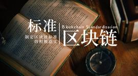 区块链标准化很重要吗？_IMP:OPA