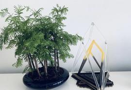 EOS两周年：柚子向下发展的三大迹象_比特币:imtoken正版app下载