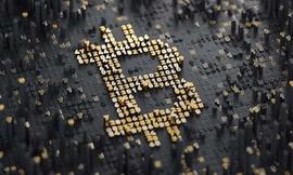威廉：这次减半和前两次有何不同？_AMP:DAILY