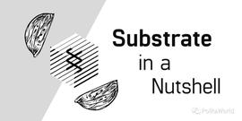 Substrate极简概括_USD:Lite USD