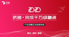 星球首发 | 获中装建设千万元融资，「玳鸽」要用区块链解决企业贷款融资难题_DAILY:ODA