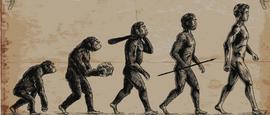 人类的600万年，信任的600万年_维纳斯:维纳斯币有什么用