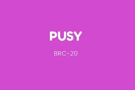 BRC20 Meme季来袭，了解下XEN创始人力推的PUSY_MEM:XEND价格