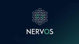 Nervos 测试网挖矿赛上线，奖金池900万CKB，一文解答矿工们的所有疑惑_POOL:POS