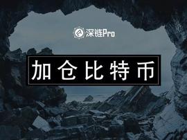 全球降息，加仓比特币_USD:比特币