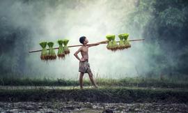 李笑来发新币、建新群，你还愿意帮他拉人头么？_EOS:FarmEOS