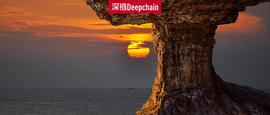 Bibox和IEO首发项目SKR“反目”背后：千万保证金作祟？_KEN:MARKETING价格