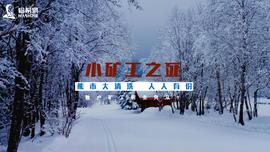 小矿工之死_比特币价格:今天为什么比特币暴跌