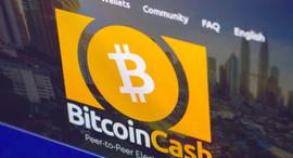 BCH分叉之争，Bitcoin Cash ABC与Bitcoin SV的烧钱战？_BIT:Virtacoinplus