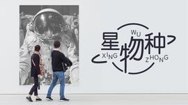 让基金业绩可验证，「MatrixONE」想建立互信的数字资产管理系统_MAT:math币价格
