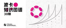 科普 | 波卡主要支持的WebAssembly（Wasm）是一种什么工具？_ASS:WASSIE