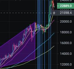 内参：比特币日线成交量缩价跌，后市看跌-ODAILY_ECO:PRUDECOIN