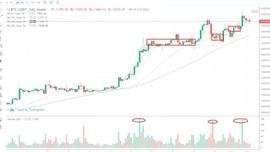 行情分析：比特币触碰14000美元，后续还能继续走高吗？-ODAILY_DOT:KSM
