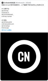长推：关于Ordinals 主题的 Twitter Space 笔记_SUI:ALS