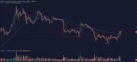 转变对BTC的熊市思维，BSV和BCH还能否参与？-ODAILY_BCH:HBSV币