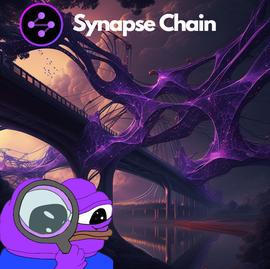 一文了解跨链协议 Synapse 最新的进展以及即将到来的催化剂_Synapse:MenaPay