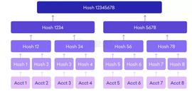 为什么加密交易平台要用默克尔树证明储备金？_Kraken:kraken靠谱吗