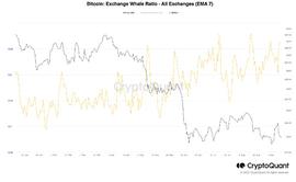 随着 BTC 跌破 2 万美元  比特币鲸鱼的抛售压力继续存在_BTC:如何把泰达币换成比特币的钱