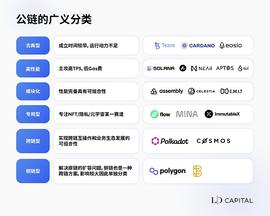 公链迭代方向具备哪些特征？盘点下一轮牛市有望崛起的特色公链_CAS:区块链的几个大局有哪些