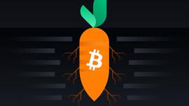 Taproot激活前瞻 一文了解Bitcoiner该做什么_Tap:OOT