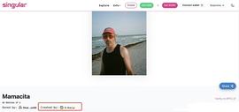 解读 NFT 领域 波卡协议标准和主流类协议标准的区别_区块链:CHA