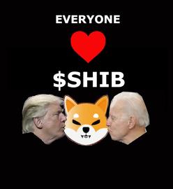 观察 | 感染“狂犬病”的 SHIB，搏傻还是庶民的胜利？_SHI:American Shiba