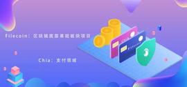 一文详解，Filecoin与Chia之间的区别_区块链:FILE