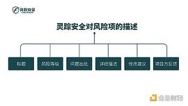 独家 | 灵踪安全对风险的细节描述_比特币:BCH