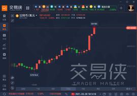 全球支付巨头Paypal推出加密货币结算服务，比特币冲上59000美元_比特币:PAY