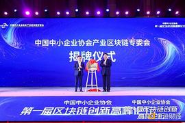 第一届“中国中小企业协会区块链创新高峰论坛”在海口举行_比特币:avi币app