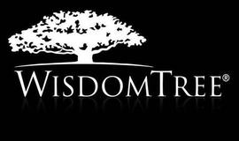 美国上市基金公司WisdomTree向SEC提交比特币ETF申请_比特币:DOM