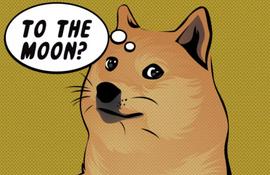 “三无加密货币”狗狗币Dogecoin这次能火多久？_COIN:Tongtongcoin