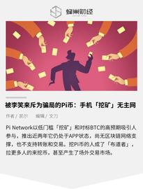 被李笑来斥为局的Pi币：手机「挖矿」无主网，拿比特币画饼_稳定币:VISA Application Chain