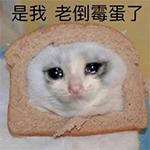 从拥有比特币到一无所有，他经历了什么？_EDG:snft币西班牙