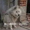 如何让你的数字资产安全保值？你还差这个！_ALL:WWW
