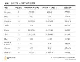 四大维度复盘2020上半年公链发展_EFI:区块链如何购买