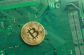 Tim Draper：加密货币是未来的趋势，千禧一代应该考虑投资比特币_比特币:大学生玩比特币赚了上亿的人