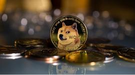 随着 DOGE 克服临界水平,狗狗币在 24 小时内上涨 15%_DOG:DRYDOGE