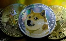 SHIB柴犬指数反弹形成新高的可能性是...._比特币:shibkiller币最新消息