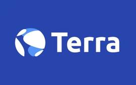2022年熊市生存指南_SIU:Terra
