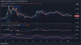 你应该在2022年投资吗？_XRP:PLE