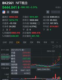NFT泡沫？美股爆炒NFT概念 垃圾堆里找黄金_AIN:ENTR币