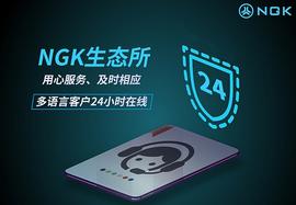 2021 NGK生态所体验好、交易快 引人注目!_区块链:okex数字资产交易平台