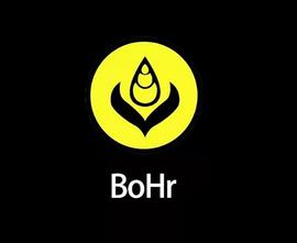 BoHr手机钱包白名单到底是什么？_WEB:bohr币多少钱一个