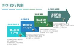 BRH发行机制概述 八年之后全部产出_MON:BRH