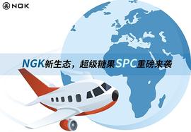 同样是NGK官方推出的代币,SPC与BGV有何异同？_CAR:bgv币未来价格