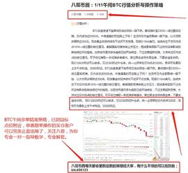 八哥币圈：1/11午间BTC多单策略 恭喜跟单操作的实仓客户完美获利3197个点 获利满满_BTC:300